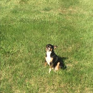 Meet your Posher, Debra